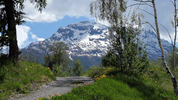 Wallpaper Nature, Sky, Blue, White, Covered, Clouds, Trees, Field, Landscape, Mountains, Between, View, Snow, Green, Grass, Road, Background