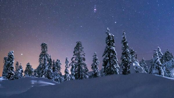 Wallpaper Nighttime, Winter, Snow, Trees, Blue, During, Under, Sky, Frozen, Starry, Scenery, Field