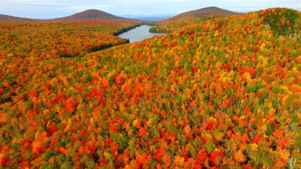 Wallpaper And, Autumn, River, Orange, Forest, Between, Fall, Yellow, Trees, Green, Mountains, Red