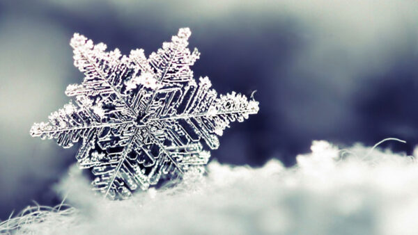 Wallpaper Snowflake, Winter, Closeup, Background, Blur, View