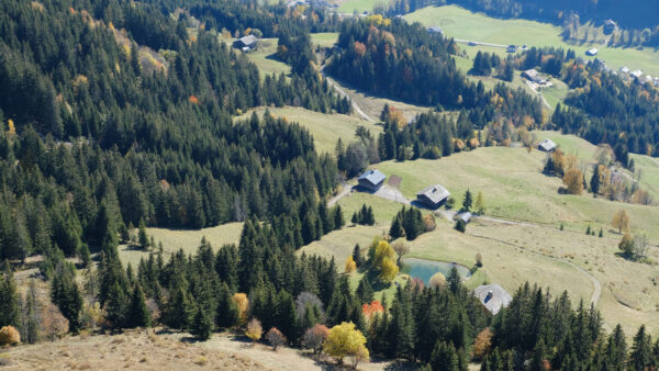 Wallpaper Lake, Road, View, Green, Tree, Leaves, Village, Houses, Aerial, Bushes, Branches, Nature