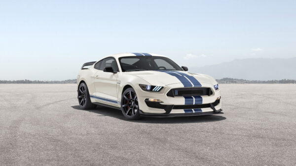 Wallpaper Shelby, Heritage, GT350, 2020, Edition