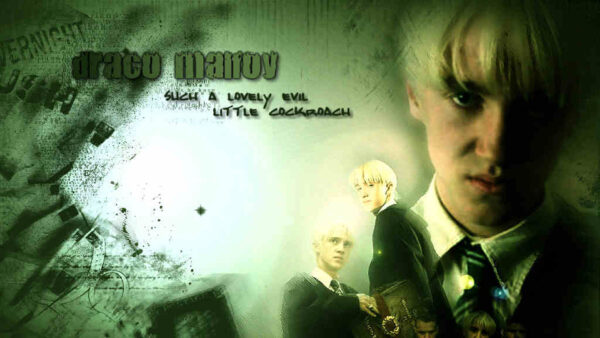 Wallpaper White, Desktop, Images, Draco, Three, Green, Malfoy, Background