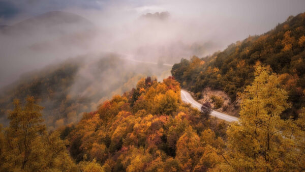 Wallpaper Mobile, Desktop, Nature, Mountain, Forest, Fall, Road, And, Fog, Betwen