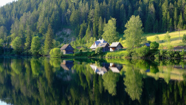 Wallpaper Photography, Mobile, House, Forest, Grass, Green, Reflection, Desktop, Water, Beautiful, Lake, Trees