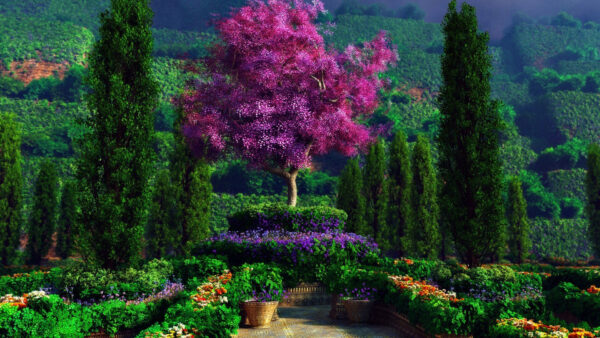 Wallpaper Flowers, And, Desktop, Trees, Foliage, Garden, With