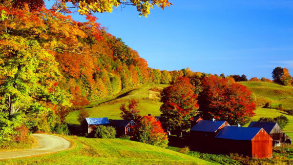 Wallpaper Hills, Desktop, Village, Slope, Colorful, Trees, Nature, Covered, Autumn