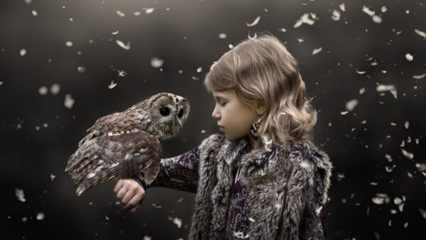 Wallpaper Owl, Girl’s, Desktop, Little, Cute, Bird, Hand, Sitting