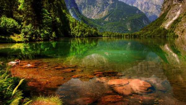 Wallpaper Body, Scenery, Covered, View, Water, Trees, Green, Mountains, Landscape, Reflection, Beautiful