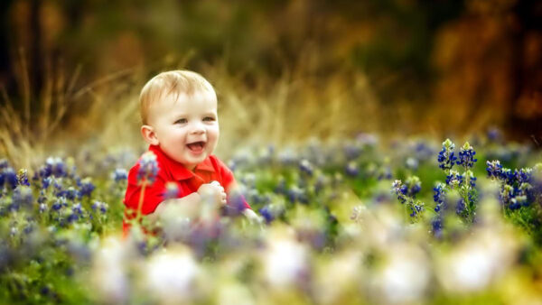 Wallpaper Wearing, Flowers, Red, Smiley, Purple, Little, Cute, Field, Sitting, Dress, Boy, Background