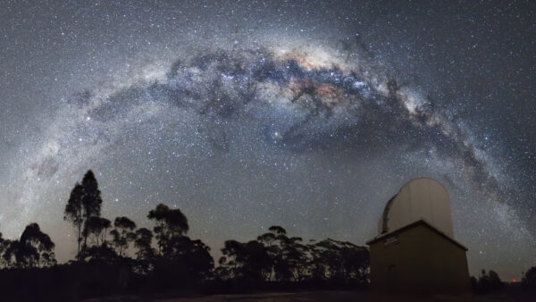 Wallpaper Gray, With, Under, Stars, Lighting, Trees, Desktop, Sky, Space