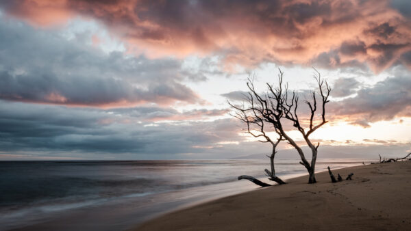 Wallpaper Clouds, Blue, Nature, Sand, White, Waves, Ocean, Horizon, Sky, Beach, Black