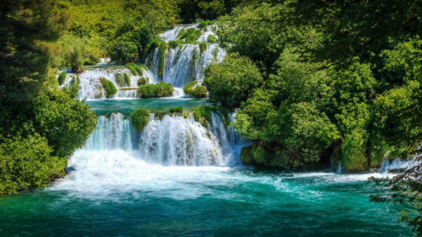 Wallpaper Green, Stream, Bushes, Waterfalls, Beautiful, Trees, Nature, River