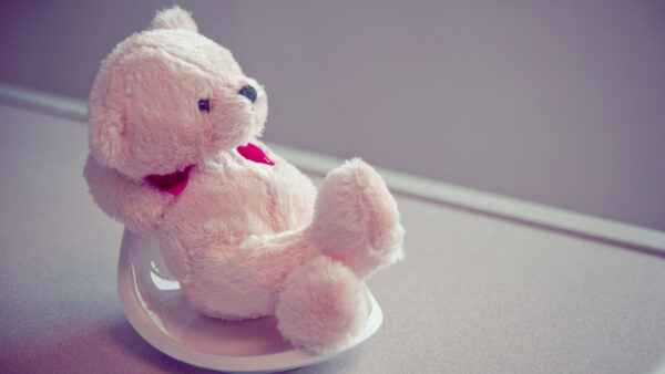 Wallpaper Bear, Pink, Chinese, Teddy, Plate