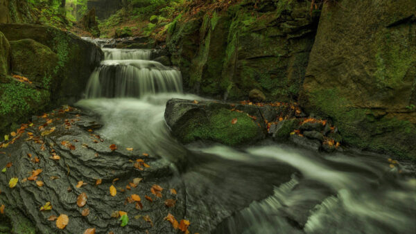 Wallpaper Between, Stream, Rocks, Covered, Water, Nature, Algae, Stones