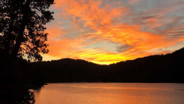 Wallpaper Nature, Water, Reflection, Beautiful, Background, Sunset, Silhouette, Forest, Lake