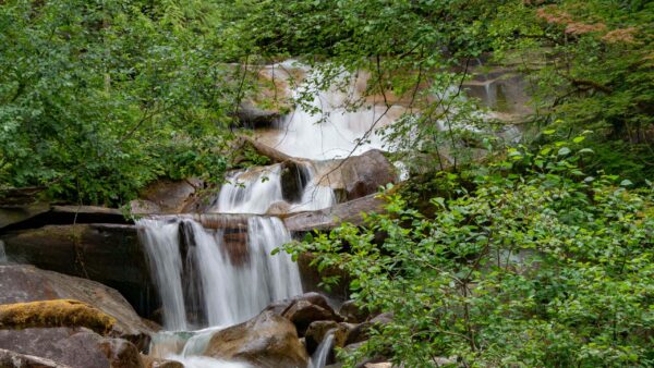 Wallpaper Stream, Waterfall, Stones, Landscape, View, Trees, Bushes, Surrounded, Nature, Rocks, Forest, Green