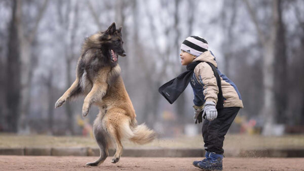 Wallpaper Boy, Overcoat, Cute, Blur, With, And, Dog, Wearing, Playing, Cap, Background, Scarf, Sandal, Desktop, Black