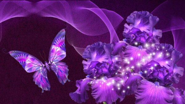 Wallpaper Butterfly, Sparkles, Purple, Flowers, Near, Desktop, White