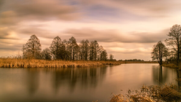 Wallpaper Nature, Fall, Season, Desktop, Lake, Mobile