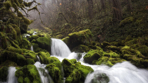 Wallpaper Mobile, Nature, With, Desktop, Mosses, Rock, Waterfalls, And