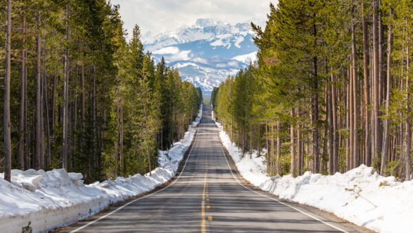 Wallpaper View, Forest, Mobile, Trees, Between, Landscape, Desktop, Snow, Nature, Road, Mountains, And