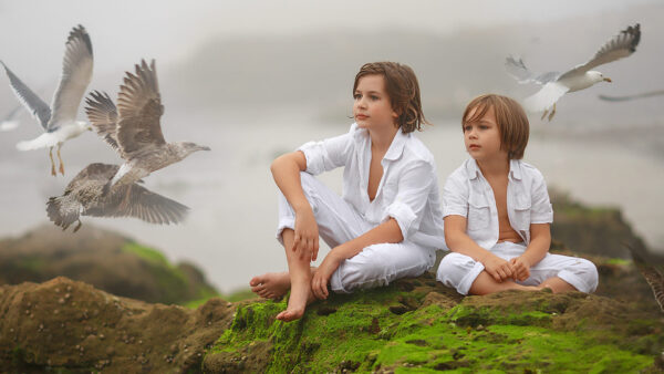 Wallpaper Cute, Dress, Covered, Surrounded, Seagulls, Rock, With, Wearing, Little, Boys, Algae, Two, Sitting, Desktop, Are, White