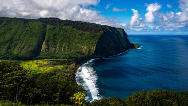 Wallpaper Aerial, Bushes, Green, Nature, View, Slope, Waves, Mountains, Greenery, Mobile, Desktop, Ocean, Trees