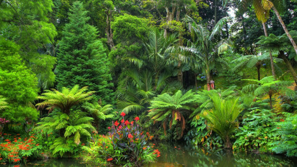 Wallpaper Green, Beautiful, Reflection, Plants, Bushes, Water, Flowers, Colorful, Scenery, Garden, Trees, Nature