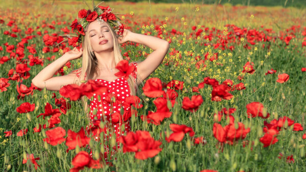 Wallpaper Field, Middle, Standing, The, Poppy, Flowers, Red, Wreath, Dress, Girl, Wearing, Beautiful, Model, And, Girls, Common