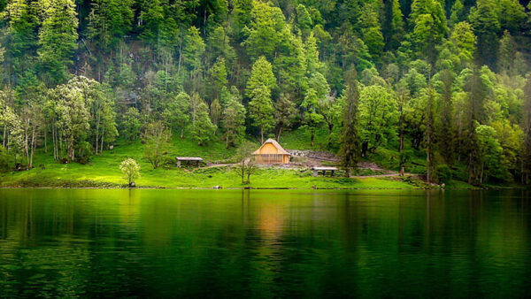 Wallpaper Nature, Reflection, Lake, Slope, Scenery, Bushes, Green, Beautiful, Field, Grass, Trees, House