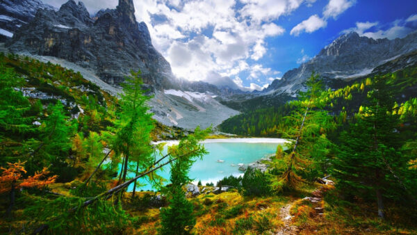 Wallpaper Green, Under, Rock, Lake, Bushes, Surrounded, Plants, Blue, And, Sky, Mountains, Trees, Clouds, Nature, White