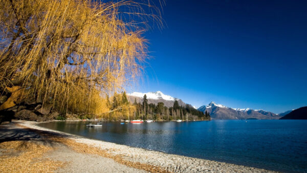 Wallpaper Covered, Mountains, Scenery, Under, Trees, Beautiful, Background, White, River, Blue, Sky, Green, Nature