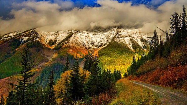 Wallpaper Mountains, View, Autumn, Landscape, Between, Colorful, Trees, Road