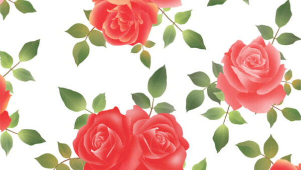 Wallpaper Red, Flowers, Floral, Rose