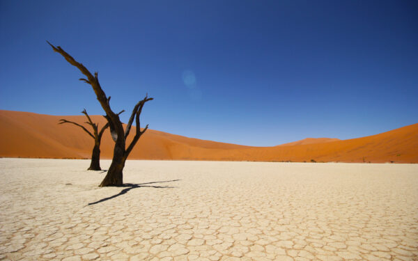 Wallpaper Coastal, Namib, Desert