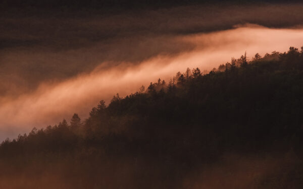 Wallpaper Foggy, Sunset