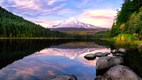 Wallpaper Hood, Trillium, Reflection, Mount, Lake