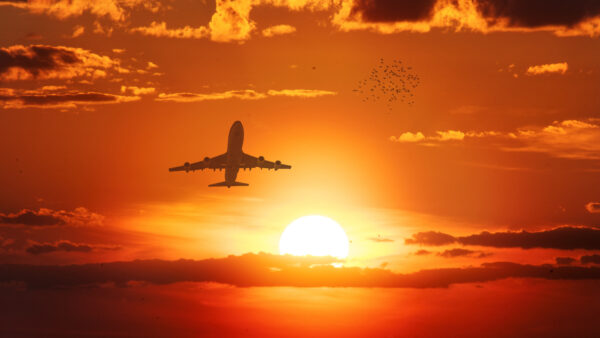 Wallpaper Sunset, Flight