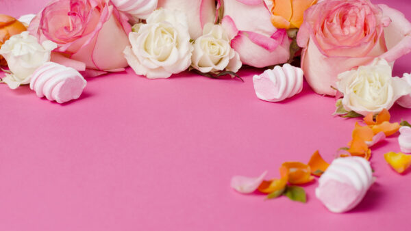 Wallpaper Marshmallow, Flowers, Desktop