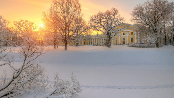 Wallpaper Russia, Sunset, Snow, Field, Desktop, Petersburg, Nature, Saint