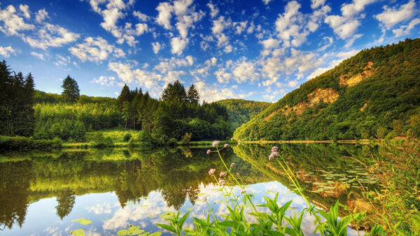 Wallpaper Covered, Nature, Sky, Reflection, Green, Lake, Cloudy, Under, Blue, Mountains, Trees, And, Desktop, Between