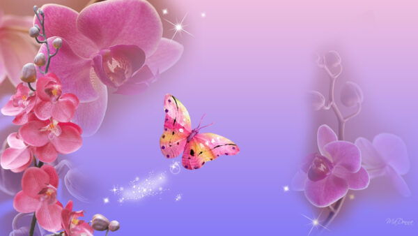 Wallpaper Desktop, Butterfly, Glitters, Artistic, Mobile, Background, Pink