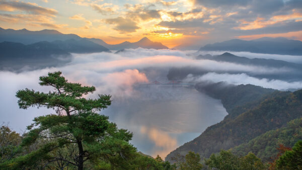 Wallpaper Cloud, Fog, Nature, Sunrise, During, Landscape