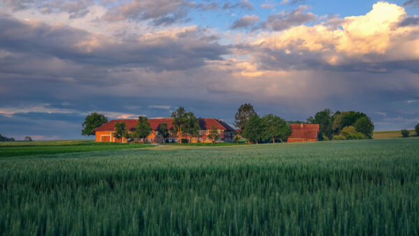 Wallpaper Under, Sky, Summer, Field, Nature, During, Mobile, Around, Cloudy, Desktop, House