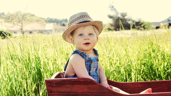 Wallpaper Eyes, Background, Box, Desktop, Boy, Green, Dress, Sitting, Grass, Baby, Wooden, Inside, Hat, Wearing, Cute, Blue, And