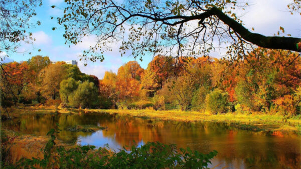 Wallpaper Colorful, Autumn, Trees, Forest, Reflection, River