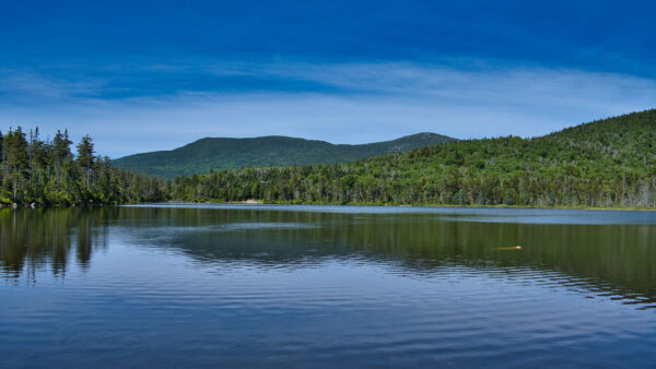 Wallpaper Desktop, Mobile, Sky, Forest, Nature, Mountains, Blue, Trees, Under, Lake, Background