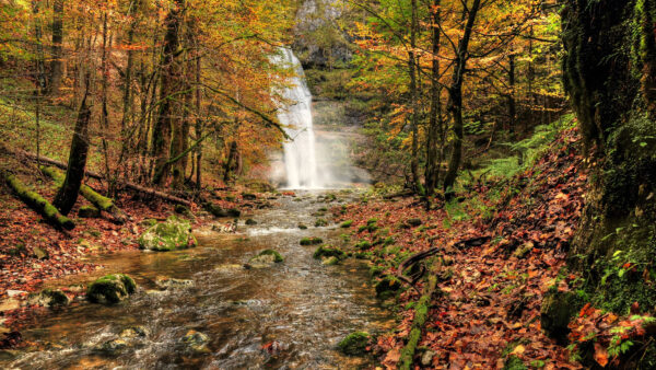 Wallpaper Beautiful, Mobile, Mountain, Fall, Background, Desktop, From, Water, Stream, Trees, Forest, Waterfall, Autumn