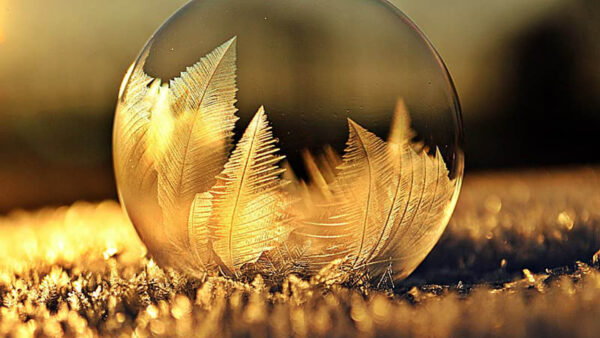 Wallpaper Photography, Glass, Transparent, Feather